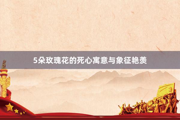 5朵玫瑰花的死心寓意与象征艳羡