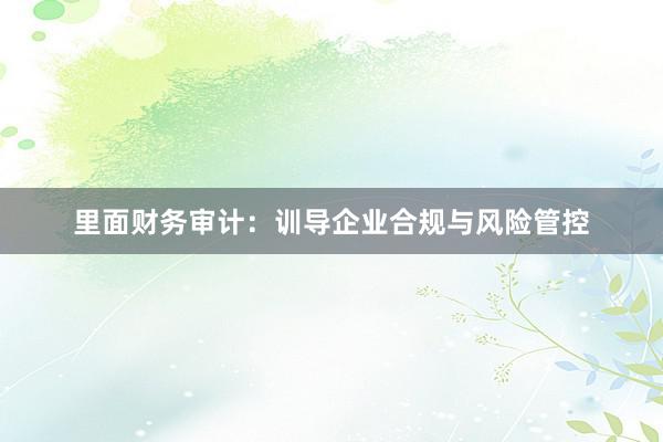 里面财务审计：训导企业合规与风险管控